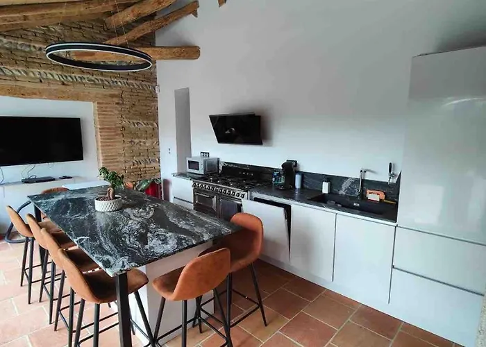 Magnifique Confort A 20m De Toulouse *